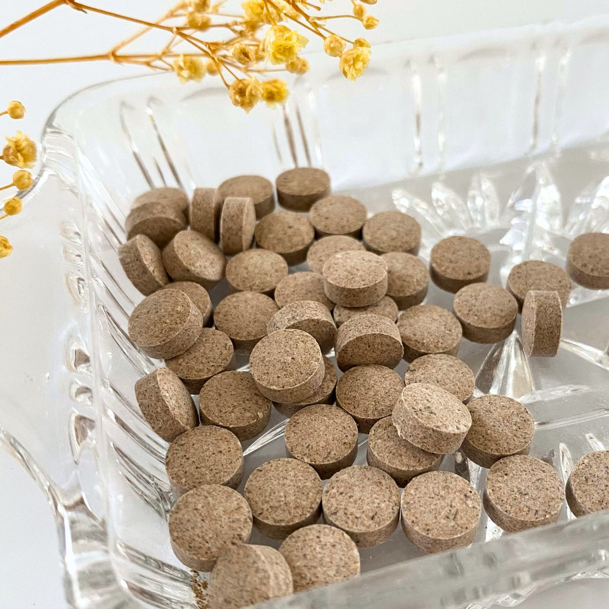 Fenchel-Galgant-Tabletten - JURA Naturheilmittel GmbH