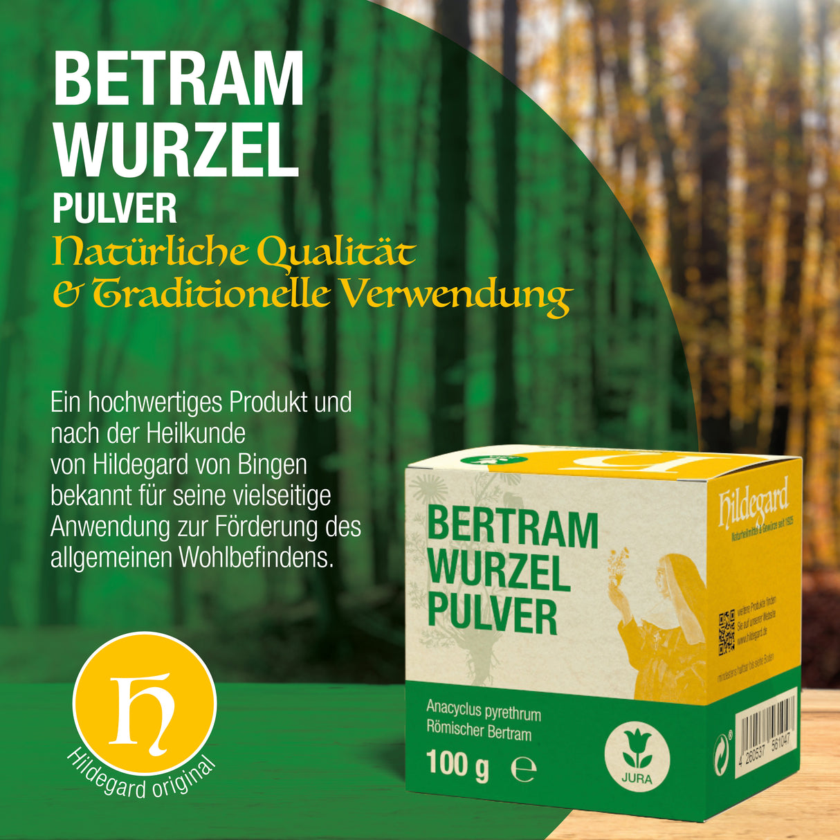 Polvere di radice di bertram