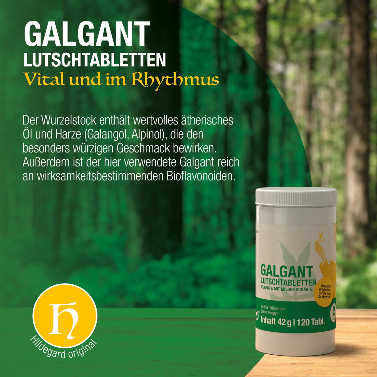Galgant Lutschtabletten