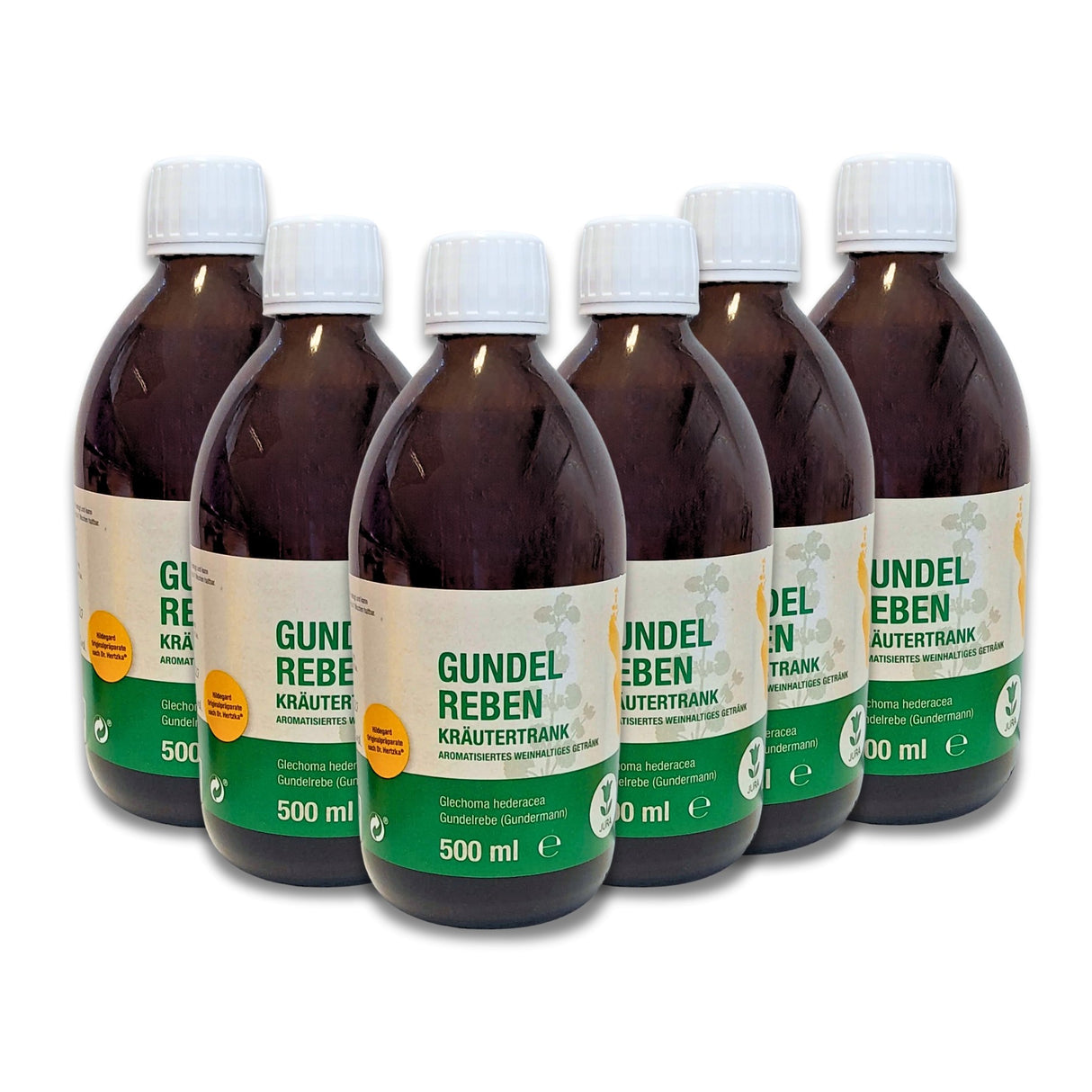 Ground ivy herbal potion