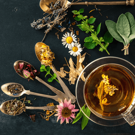 Disfruta de la salud con la cocina de hildegard: ¡así sabe la alegría de vivir! - Jura Naturheilmittel GmbH
