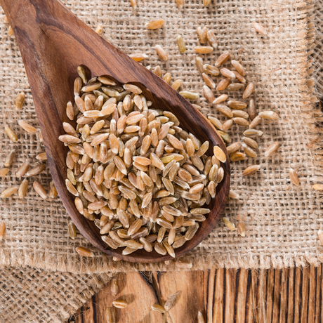 Mit Dinkel ernähren-JURA Naturheilmittel GmbH