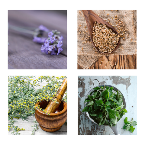Products from A to Z