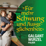 Galgantwurzelpulver