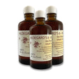 Vorratspack 3x Hildegards 6-Kräuterbitter - das Original - JURA Naturheilmittel GmbH