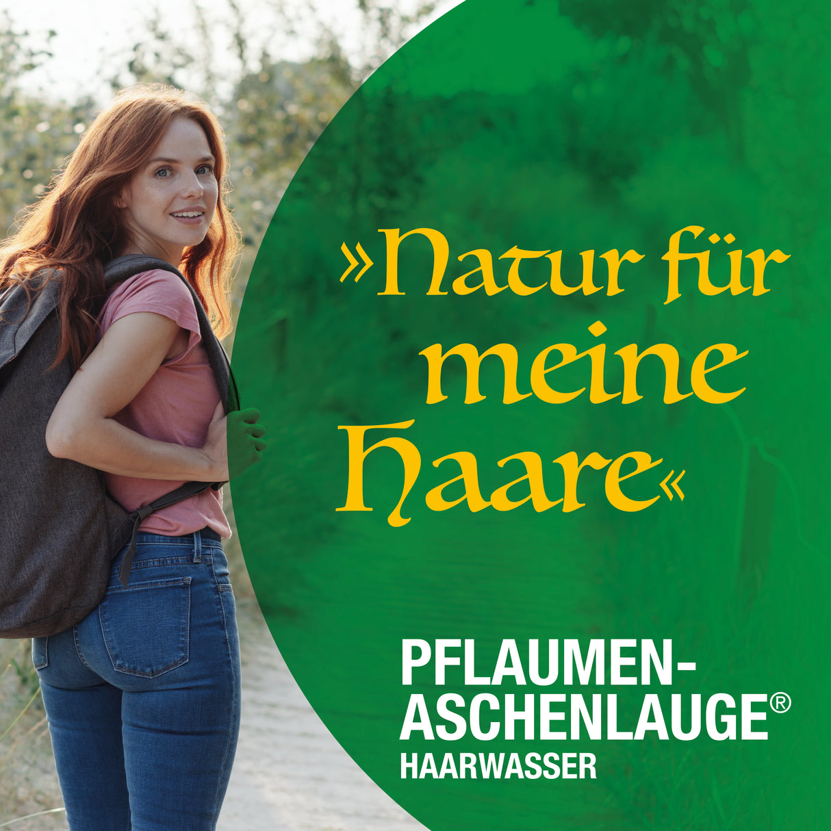 Pflaumenaschenlauge
